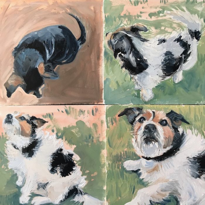 Dog Sketches 2020 20x20cms